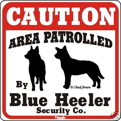 Blue Heeler Caution Dog Sign - Many ...