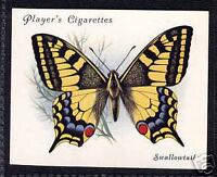butterfly cigarettes