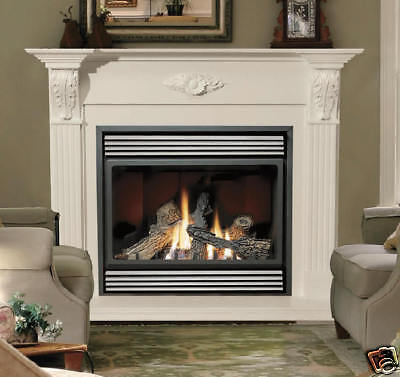 NAPOLEON DIRECT VENT GAS FIREPLACE BGD 36NTR  