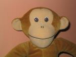 600rupert