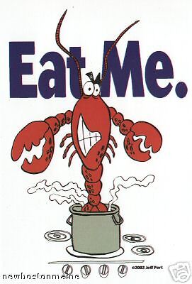 LOBSTER in a pot EAT ME Maine Bumpah Stickah Sticker  