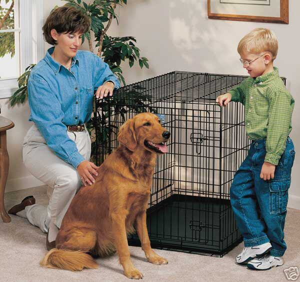 Midwest Life Stages®   Model 1642 Single Door Dog Crate  
