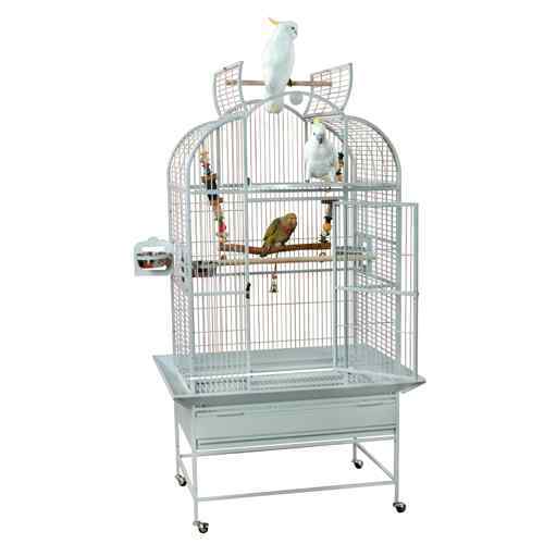 KINGS CAGES ELT3223 PARROT CAGE 32x23x64 bird african grey playtop toy 