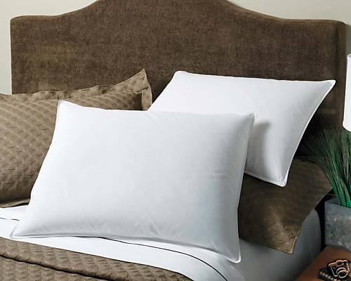 BRAND NEW 100% WHITE GOOSE FEATHER PILLOW  