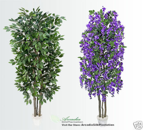 Potted Ficus + Wisteria Real Wood Artificial Trees VB  