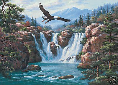 Soaring Eagle Sung Kim Waterfall  & Wildlife Art Print - Picture 1 of 1