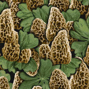 Morel Mushroom Camo Camouflage Carpet Tile  