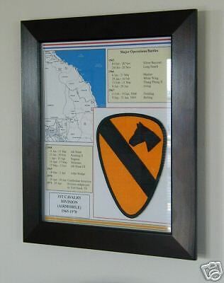 1st Cavalry Division (Airmobile), Vietnam, Framed  