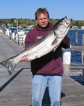   From May thru Oct. for Stripers , and Tuna Trips all Summer long