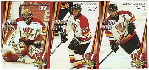 2000/01 QMJHL Baie Comeau Drakkar Team Set  